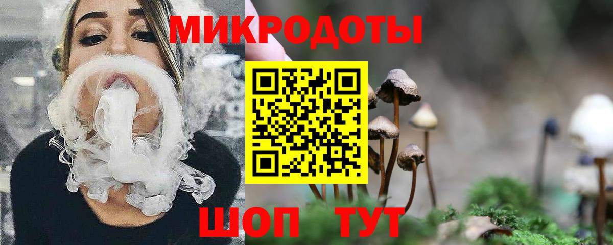 Тельмана  Псилоцибиновые грибы прущие грибы  Вход с VPN 
