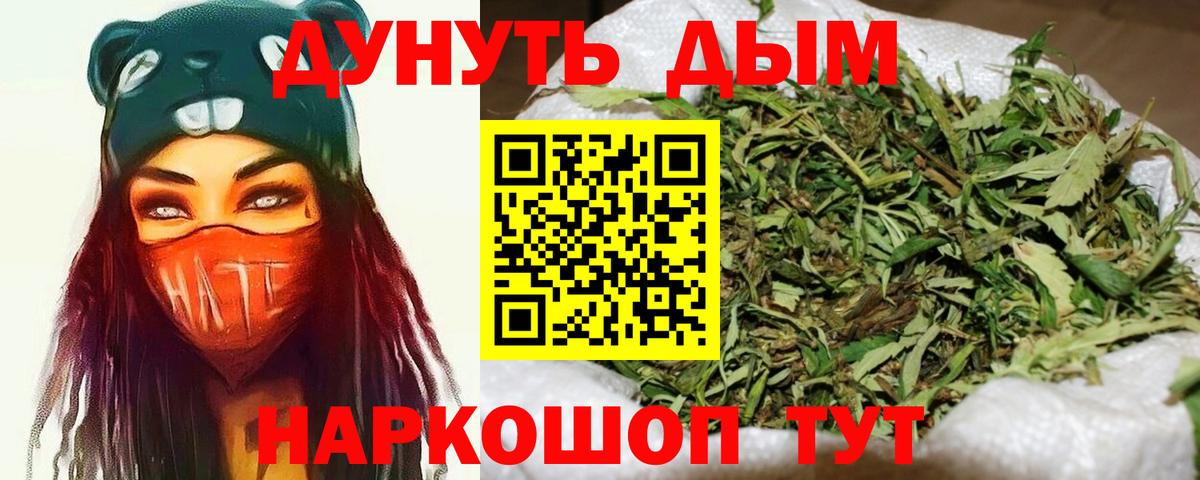 Канабис планчик Тельмана